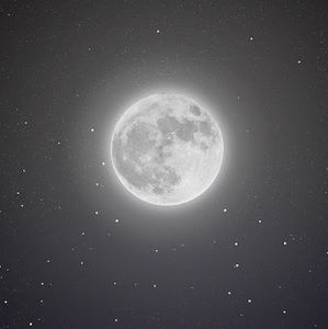 Meet your Posher, Monster